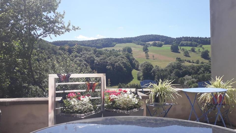 Moderne Proche De Kaysersberg Av Jacuzzi Prive *